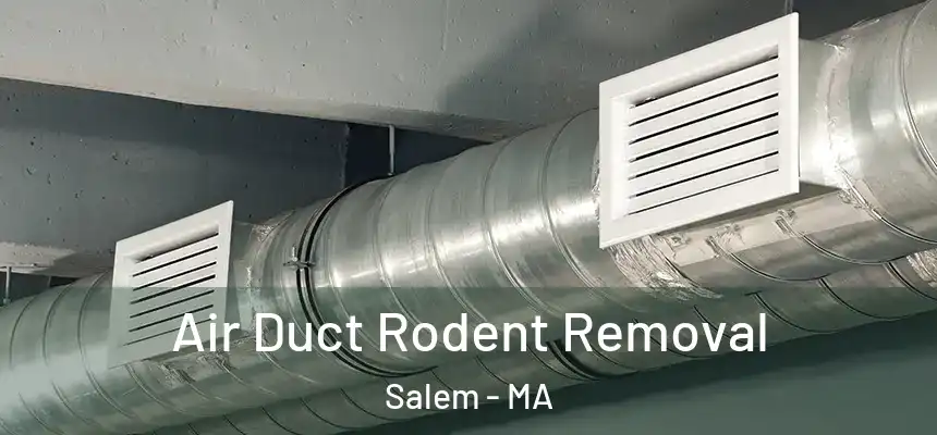  Air Duct Rodent Removal Salem - MA