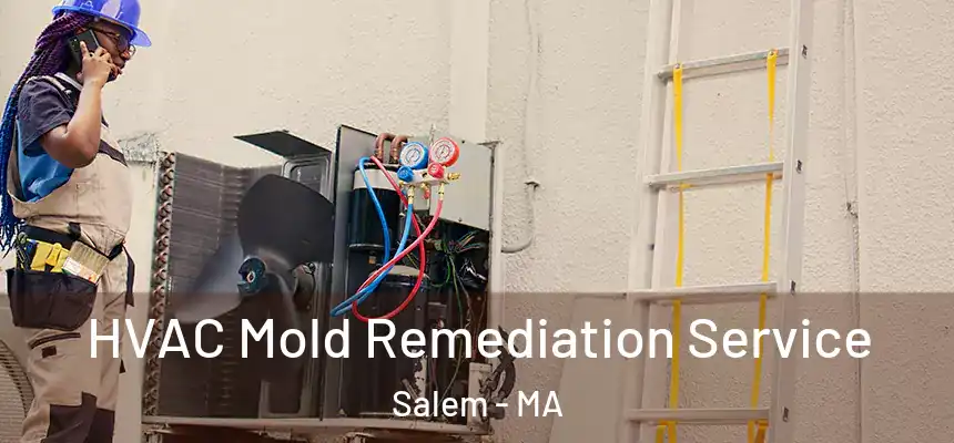  HVAC Mold Remediation Service Salem - MA