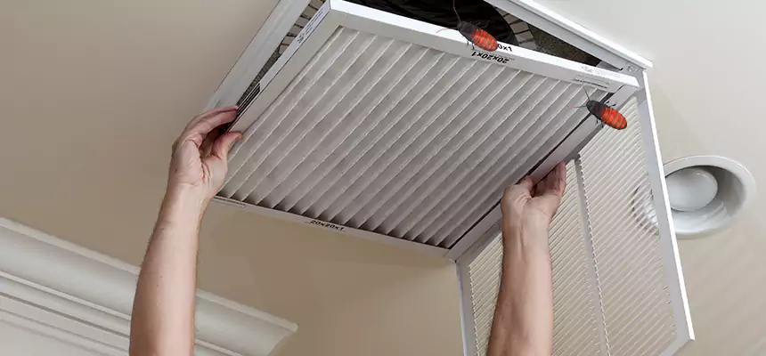 Preventive Cockroach-Proofing for Ducts in Salem