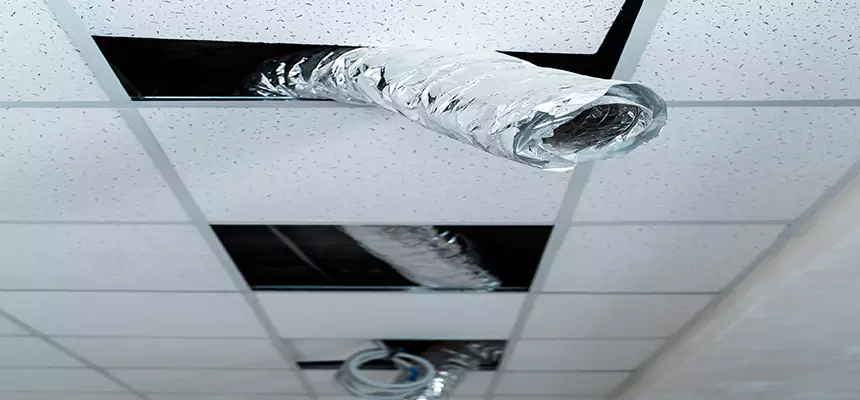 Affordable HVAC Sanitizing After Pest Removal in Salem