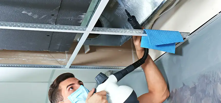 Our Air Duct Rodent Removal Services in Salem, MA