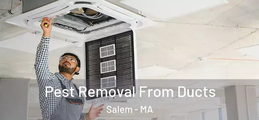  Pest Removal From Ducts Salem - MA