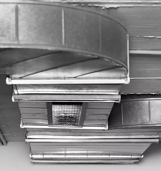 Professional Air Duct Pest Removal in Salem, MA