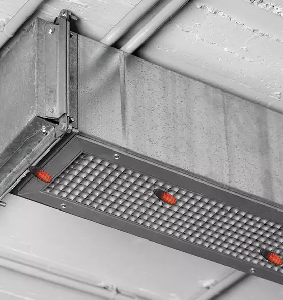 Affordable Insect Removal from Air Ducts in Salem, MA