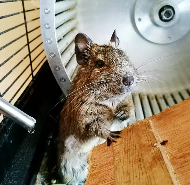 Why Homeowners & Businesses Trust Us Salem, MA