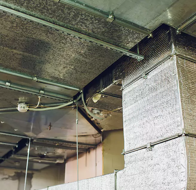 Why Homeowners & Businesses Trust Us in Salem, MA?